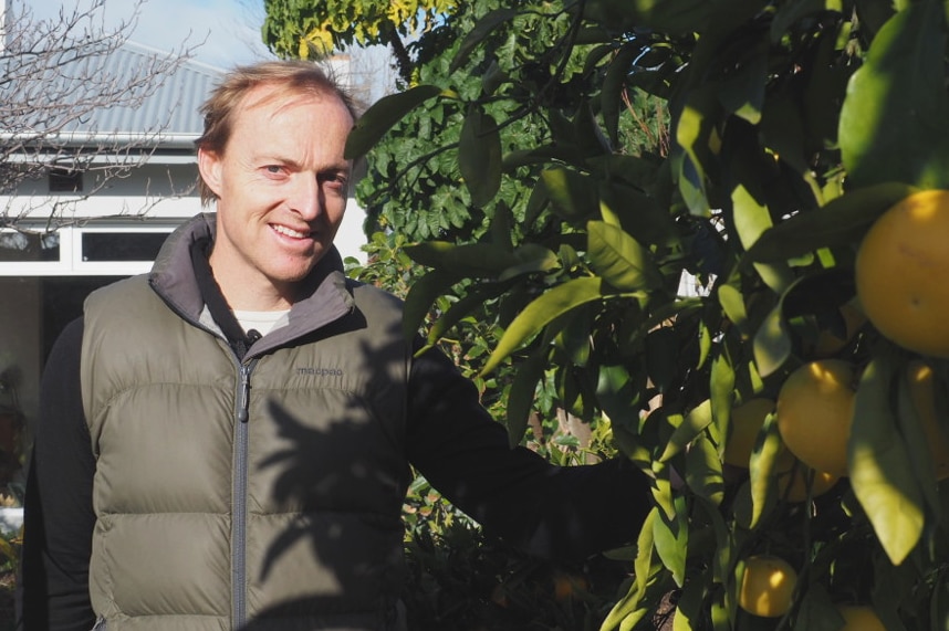 A man stands beside a citrus tree laden with fruit.