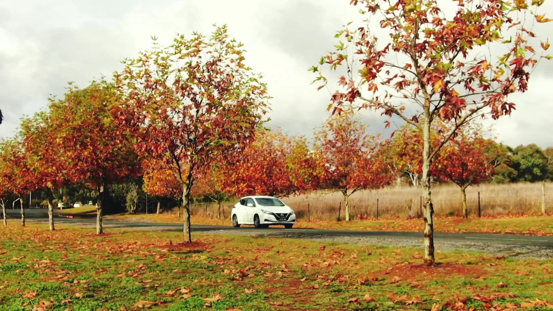 A car drives along a country road surrounded by grass and trees with Autumn leaves