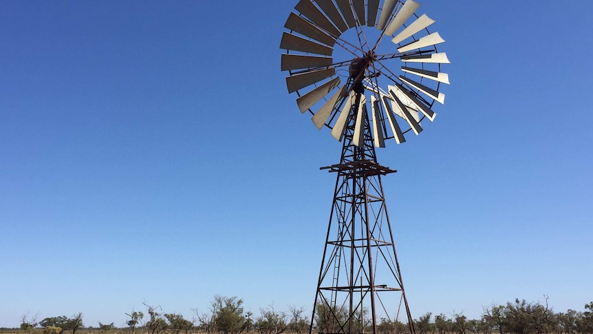 Windmill near Tandou