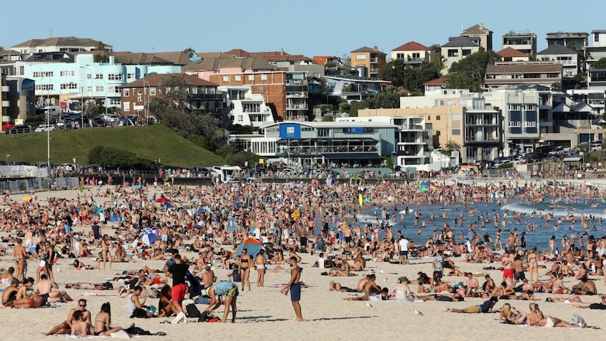 A wide shot of a large amount of sand and water, with many people on it.