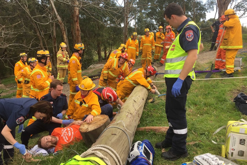 Twenty emergency workers surround a telegraph pole which Odie Barwick is under.