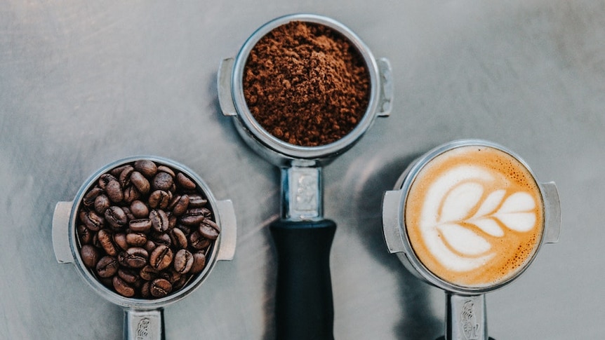 Coffee beans, ground coffee and latte sit in espresso machine grips for an article about whether coffee is addictive or bad.