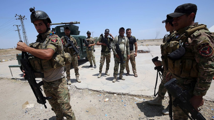 Iraq security forces prepare to retake city of Fallujah