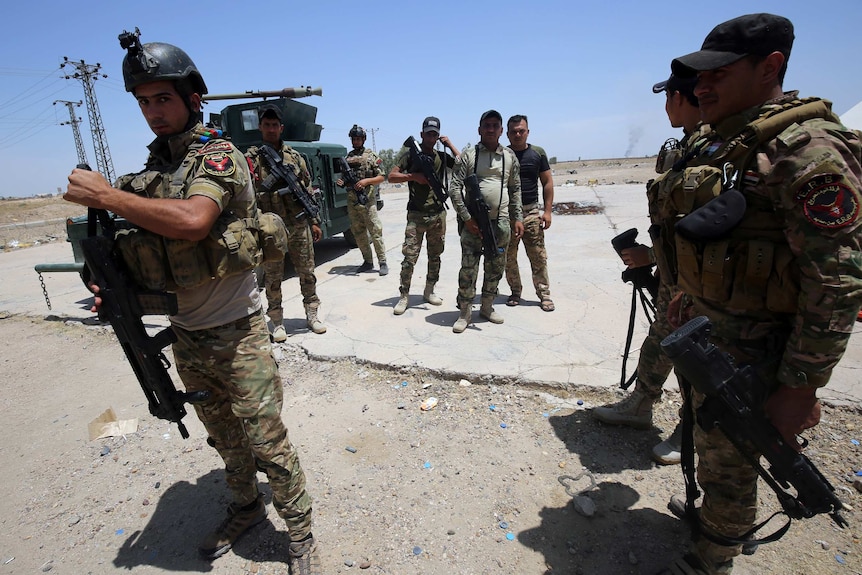 Iraq security forces prepare to retake city of Fallujah