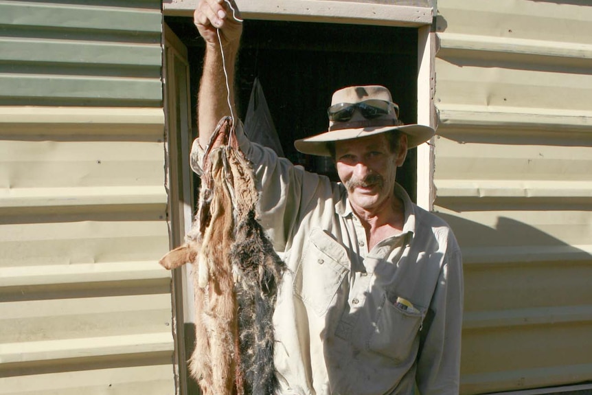 Fence worker Glen Coddington shows off a dingo pelt
