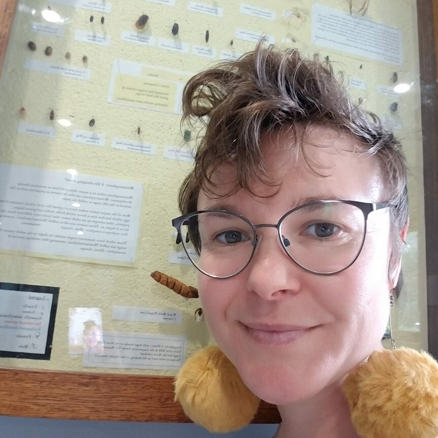 Shasta Henry stands in front a of museum display, with many bugs and spiders pinned under glass.
