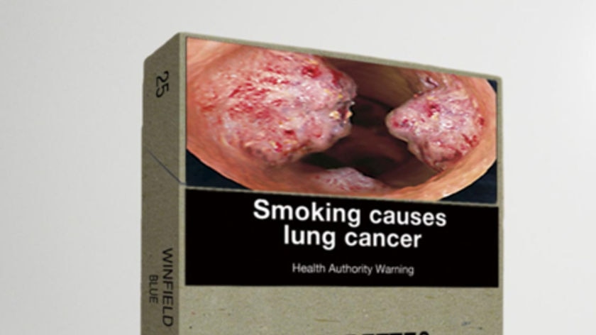 Mock-up picture of cigarette packet featuring plain packaging