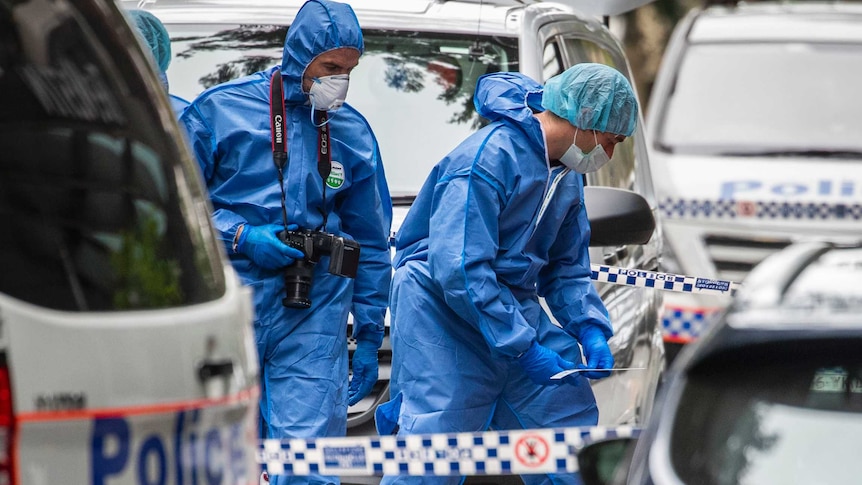Two people in blue forensic suits with face masks standing between two police vehicles.
