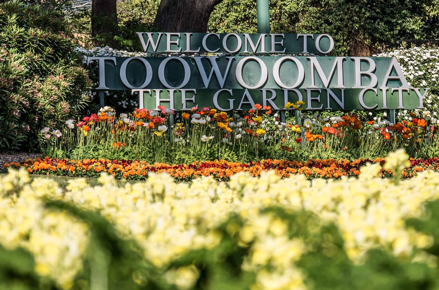 Welcome to Toowoomba sign surrounded by flowers