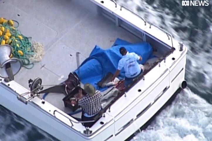 An aerial view of a covered shark in a speed boat on water with two men sitting around it.