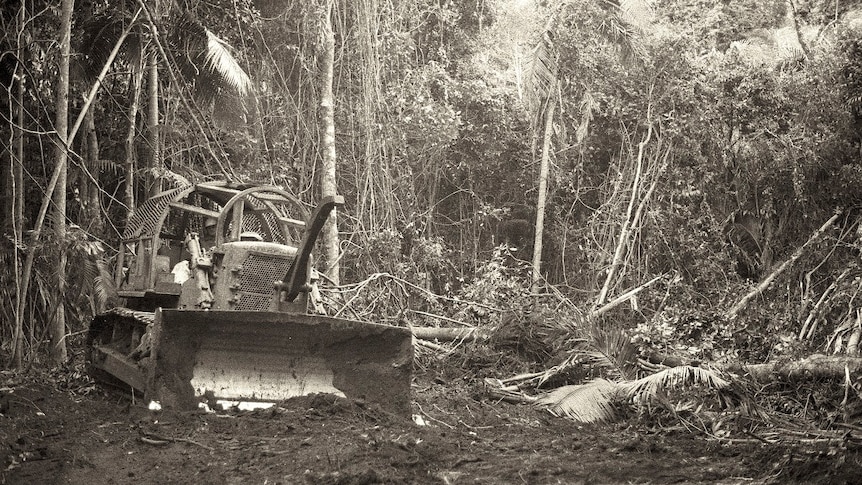 A black and white photo of a bulldozer in a forest.