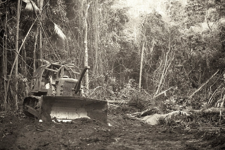 A black and white photo of a bulldozer in a forest.