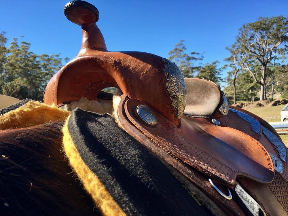 Cowboy dressage mixes classic sport with western riding tradition - ABC ...