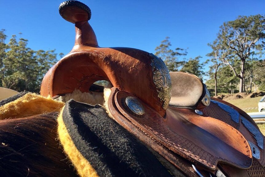 A close up of a Western saddle used in cowboy dressage.