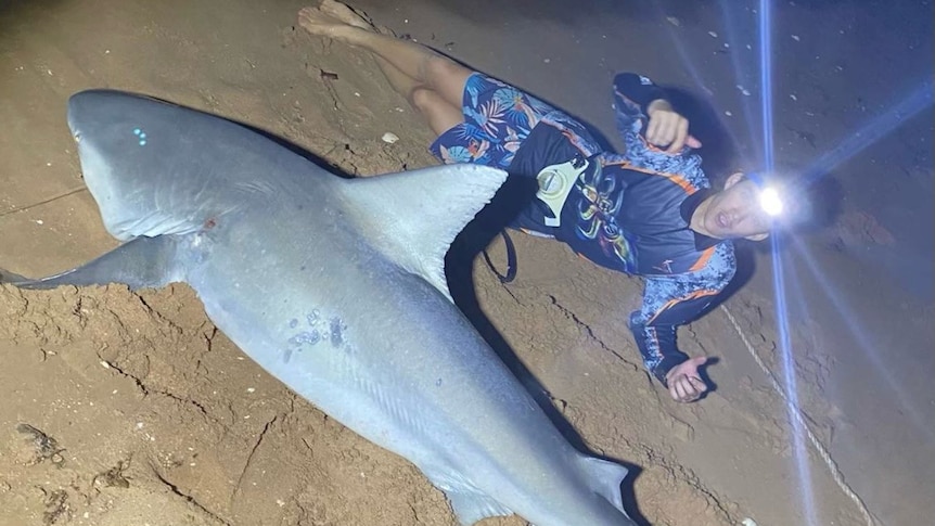 WA teenager spends spare time catching, releasing sharks off Pilbara coast  - ABC News