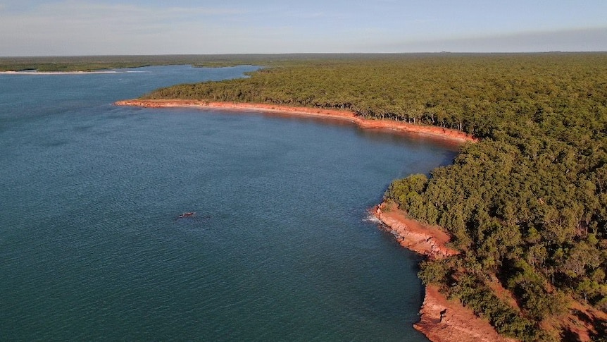 The ocean meets an island covered in green shrubbery