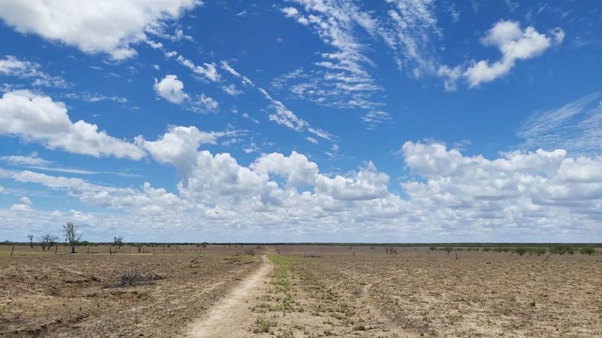 Bare ground at Abbotsford Station