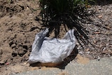 A grey plastic bag lis on the ground on some dirt in front of a bush.