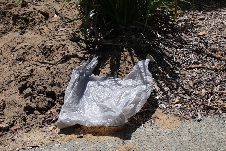 A grey plastic bag lis on the ground on some dirt in front of a bush.