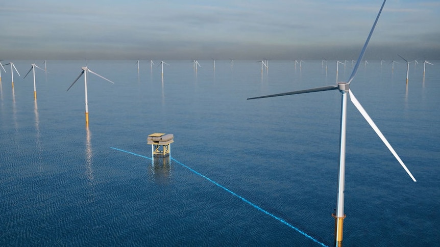 Turbines in an offshore wind farm in the ocean.