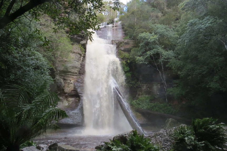 Snug Falls in Tasmania