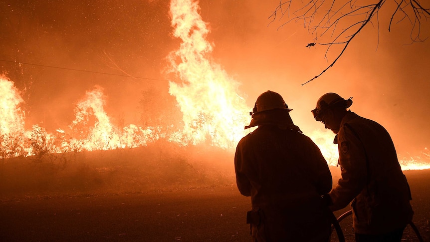 Two firefighters look towards a blaze consuming trees. There is an orange glow and nothing can be seen aside from this.