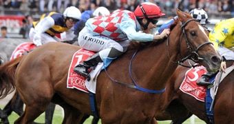 Red Cadeaux