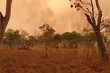 Kimberley bushfire