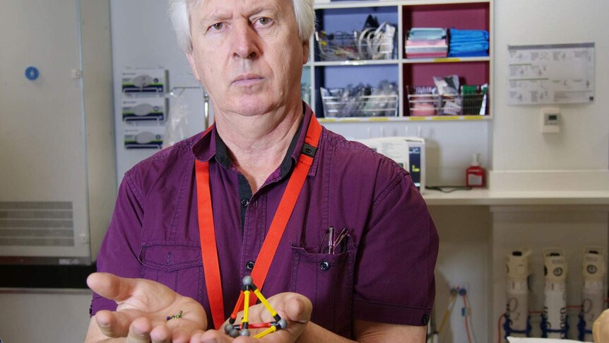 Dr Steven Donohue holds magnetic steel balls in his hands that are sold as toys in a Townsville medical clinic.