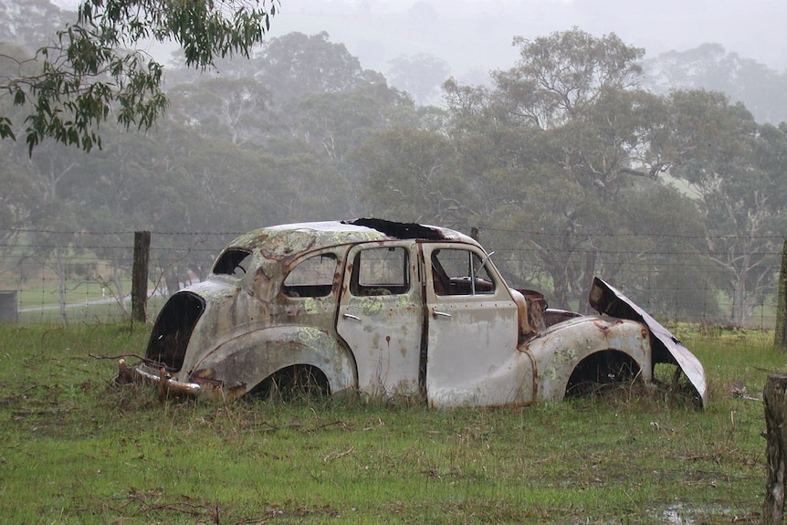 A rusting old car on grass with trees behind it in the mist.