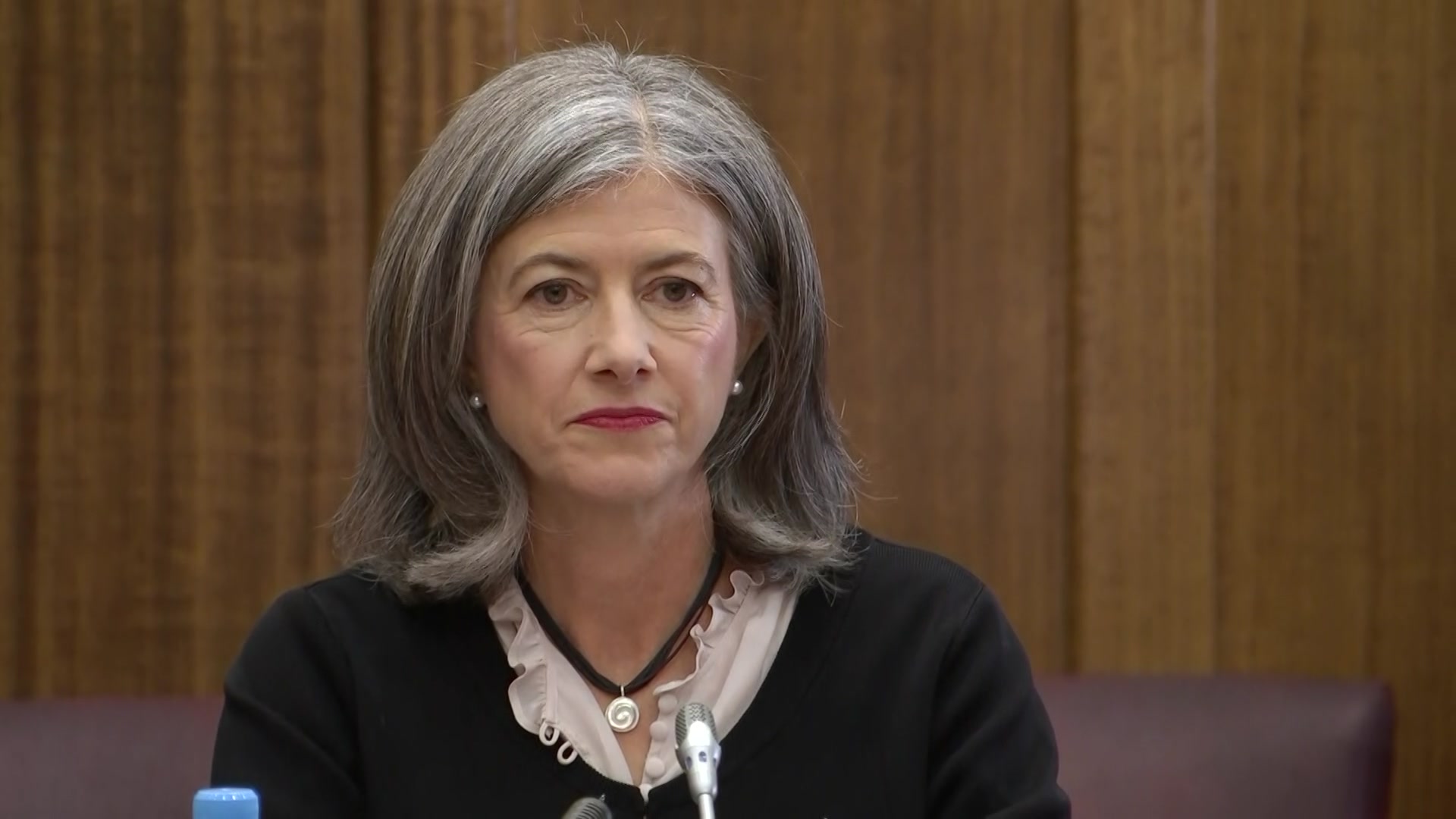 Nicola Spurrier at a paliamentary committee hearing