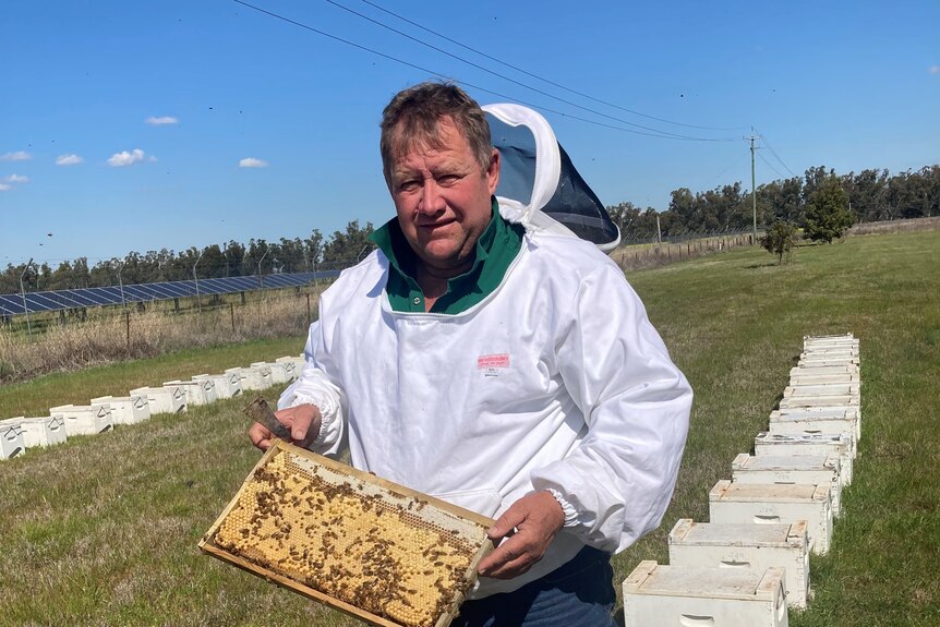 A man in a white suit holds a frame of bees and looks at the camera with a serious expression
