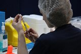 A woman prepares a pfizer vaccine shot in Perth