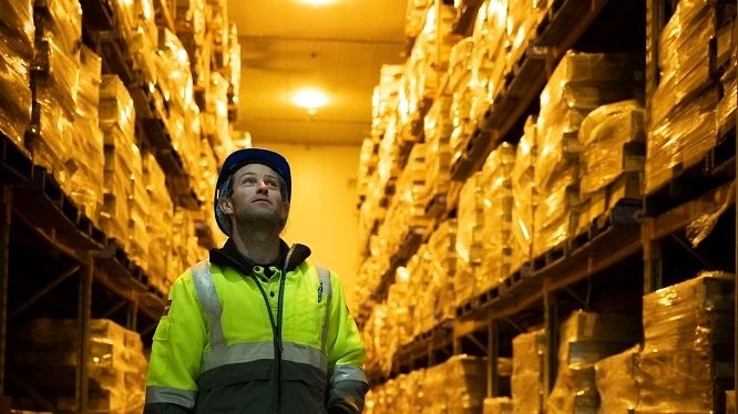 A worker looking up a big stacks of meat palettes ready for export.