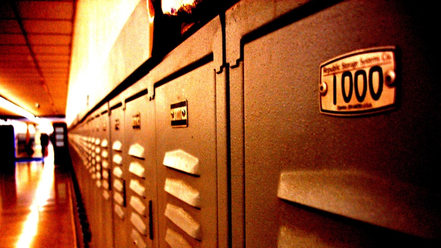 Artistic shot of high school lockers disappearing down a sunlit hall