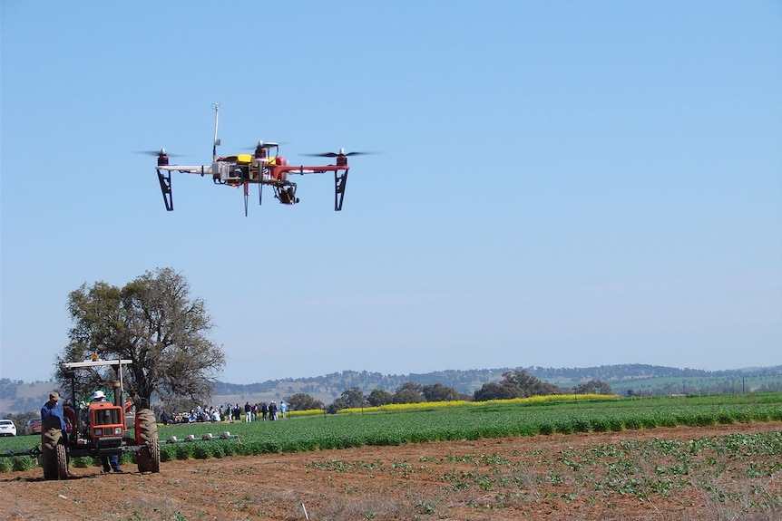 Drone over a crop