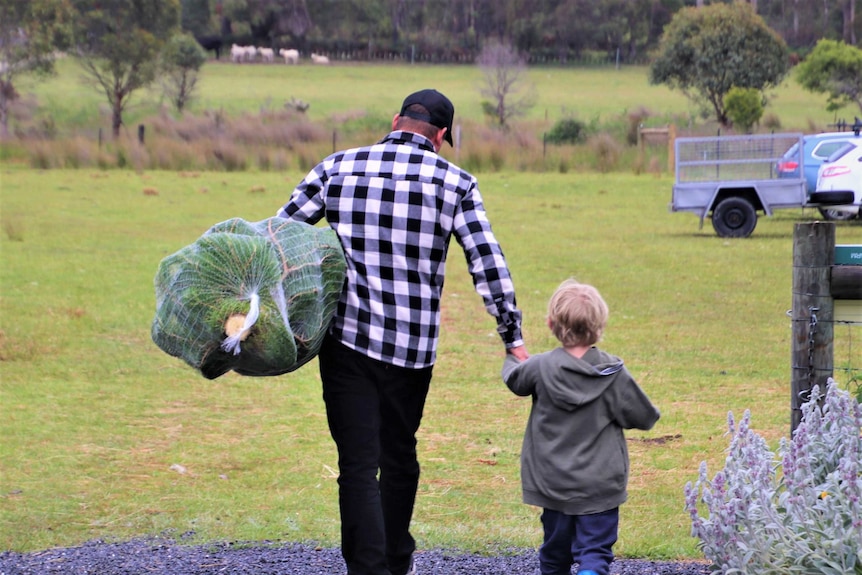 An older man is walking with a tree over his shoulder alongside a small child