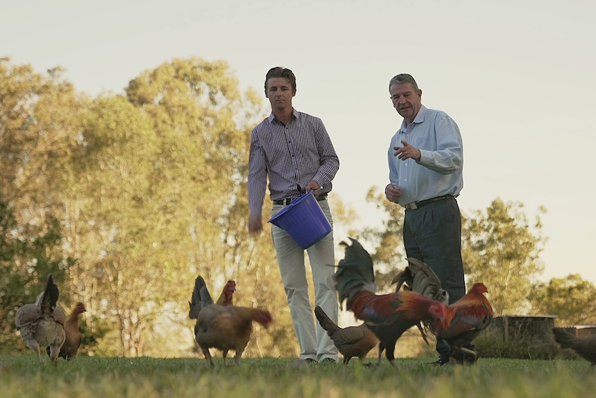 Lachie feeding the chooks on the farm with his dad.