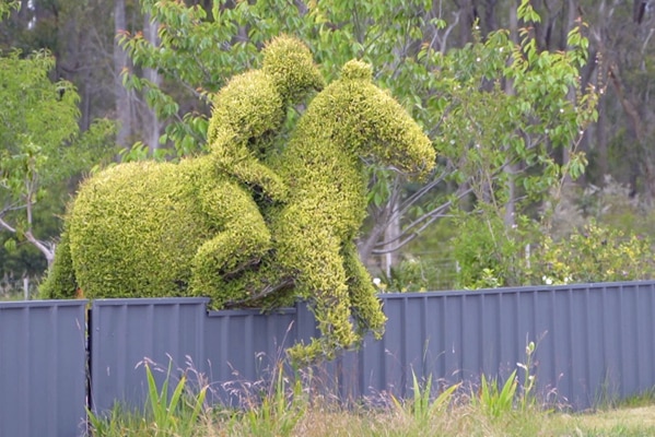 Topiary Horse Image