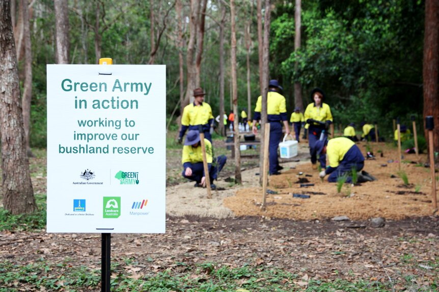 Green army at work in the bushland reserve.
