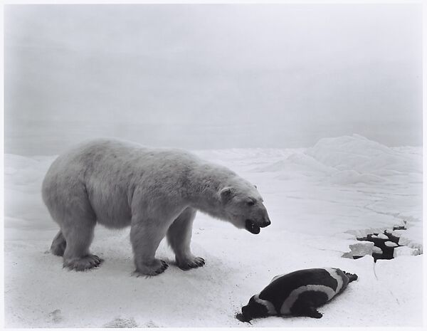 The "master of time" Hiroshi Sugimoto + the much prized lutruwita landscape