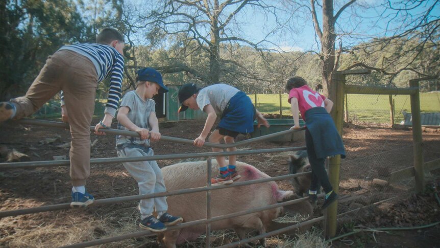 Kids play with the farm animals
