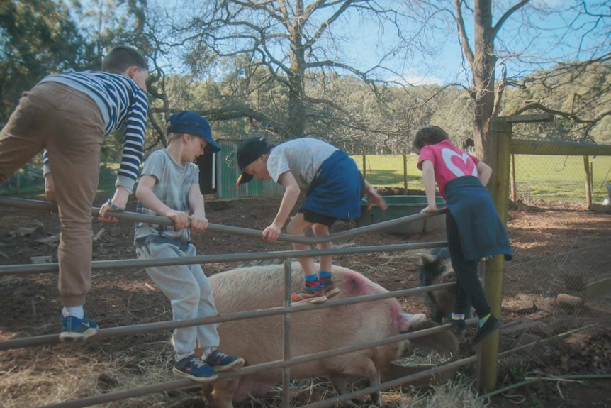 Kids play with the farm animals