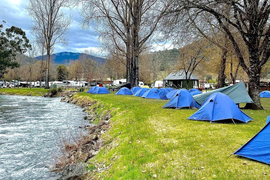 Blue tents are lined up along a river in a caravan park