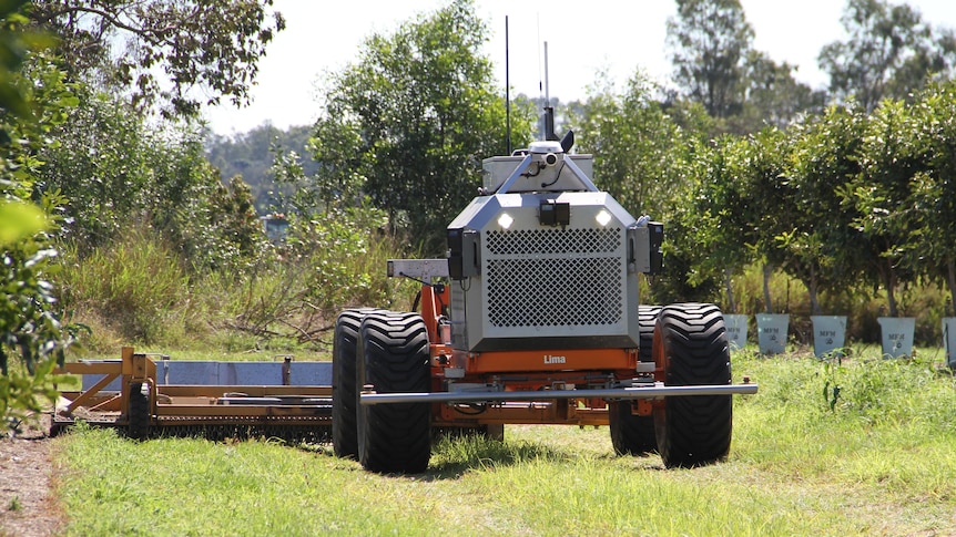 A farm vehicle moves through a paddock towing an implement.