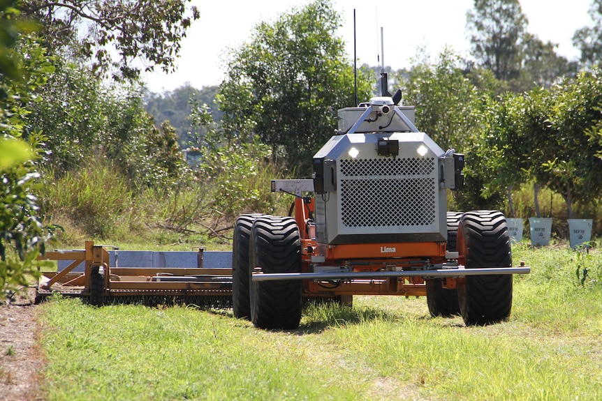 A farm vehicle moves through a paddock towing an implement.
