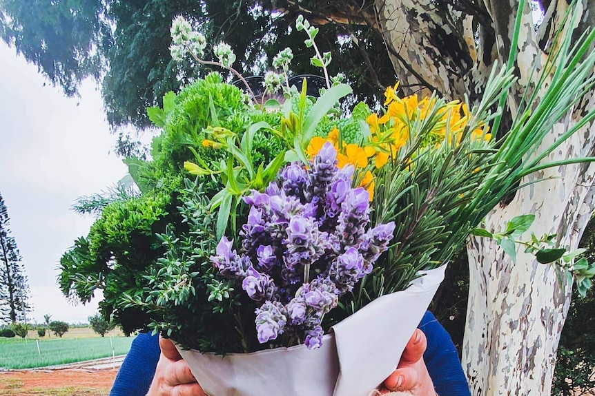 A bunch of herbs held by a person where you can't see their face.