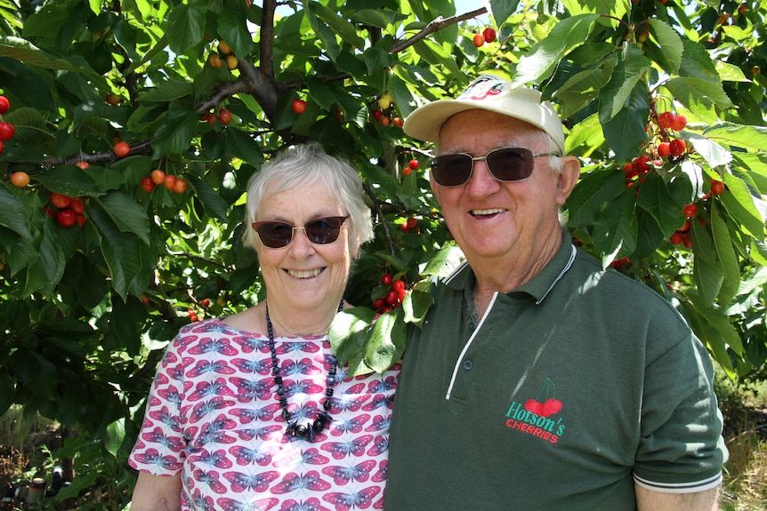 A woman and a man standing in front of one of their cherry trees.