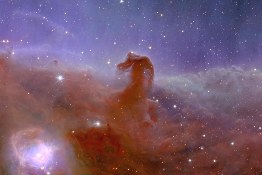 A horse-like head emerges in gas and dust from a region of space 1,375 light-years from Earth