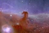 A horse-like head emerges in gas and dust from a region of space 1,375 light-years from Earth